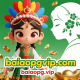 baiaopgvip.com favicon